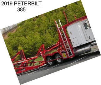 2019 PETERBILT 385