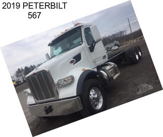 2019 PETERBILT 567