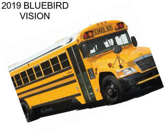 2019 BLUEBIRD VISION