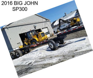 2016 BIG JOHN SP300