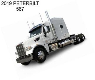 2019 PETERBILT 567