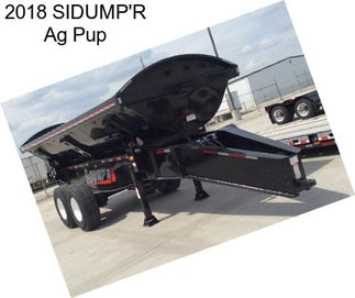 2018 SIDUMP\'R Ag Pup