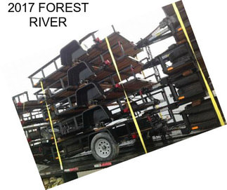 2017 FOREST RIVER