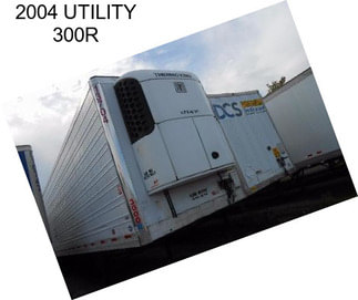 2004 UTILITY 300R