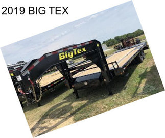 2019 BIG TEX