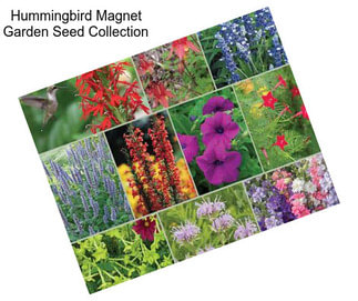 Hummingbird Magnet Garden Seed Collection