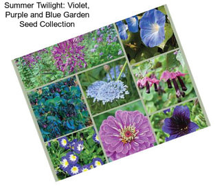 Summer Twilight: Violet, Purple and Blue Garden Seed Collection
