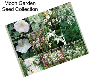 Moon Garden Seed Collection