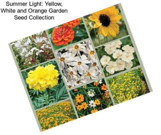 Summer Light: Yellow, White and Orange Garden Seed Collection