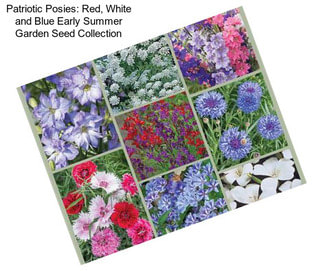 Patriotic Posies: Red, White and Blue Early Summer Garden Seed Collection