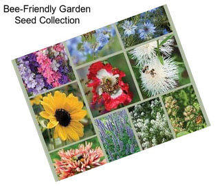 Bee-Friendly Garden Seed Collection