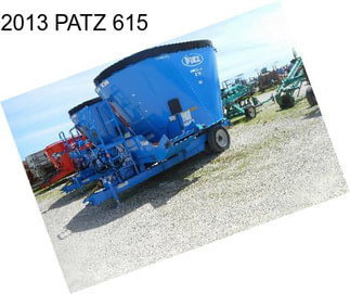 2013 PATZ 615