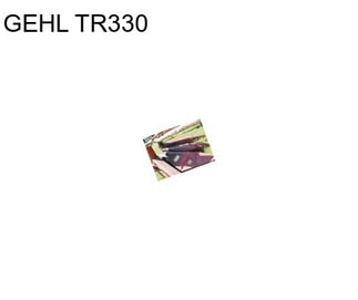 GEHL TR330