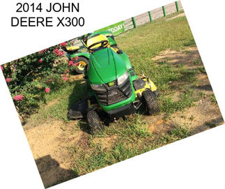 2014 JOHN DEERE X300