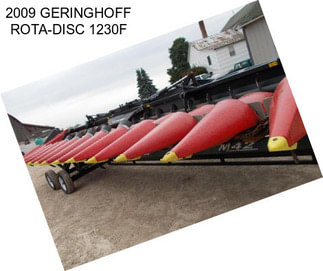 2009 GERINGHOFF ROTA-DISC 1230F