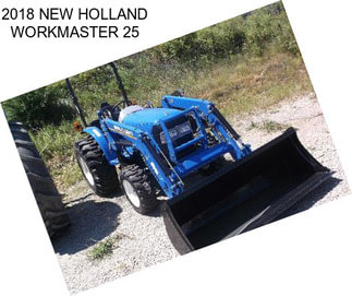 2018 NEW HOLLAND WORKMASTER 25