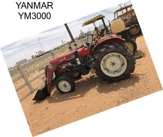 YANMAR YM3000