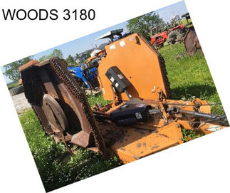 WOODS 3180