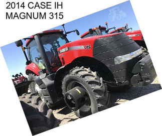 2014 CASE IH MAGNUM 315