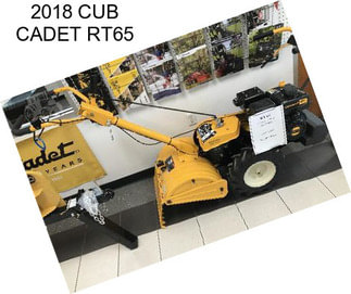 2018 CUB CADET RT65