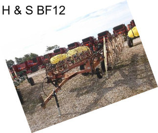 H & S BF12