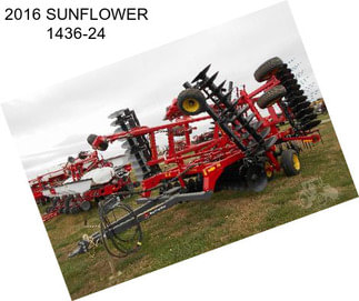 2016 SUNFLOWER 1436-24