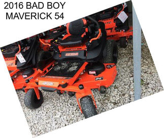 2016 BAD BOY MAVERICK 54