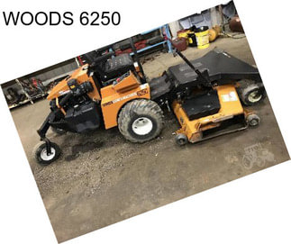 WOODS 6250