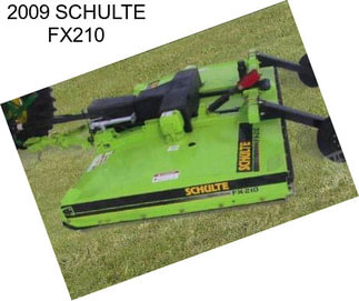 2009 SCHULTE FX210