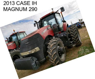 2013 CASE IH MAGNUM 290