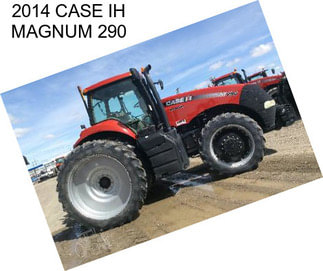 2014 CASE IH MAGNUM 290