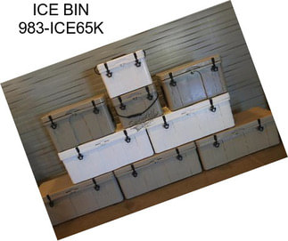 ICE BIN 983-ICE65K