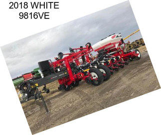 2018 WHITE 9816VE