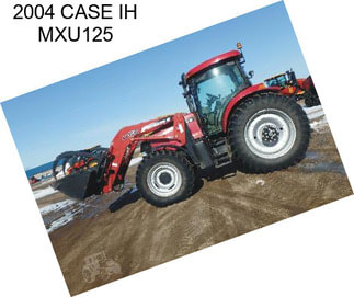 2004 CASE IH MXU125