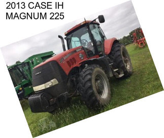 2013 CASE IH MAGNUM 225