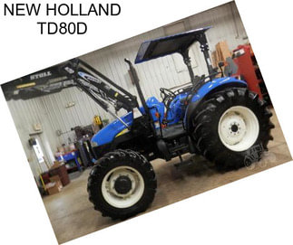 NEW HOLLAND TD80D