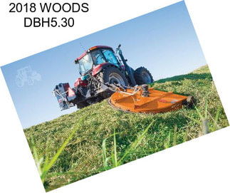 2018 WOODS DBH5.30