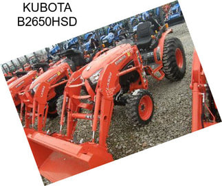 KUBOTA B2650HSD