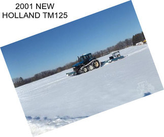 2001 NEW HOLLAND TM125