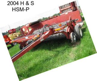 2004 H & S HSM-P