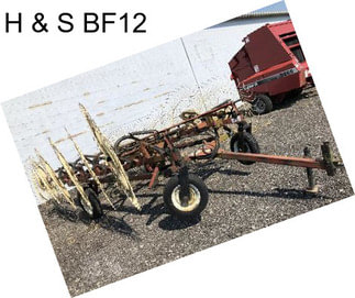 H & S BF12