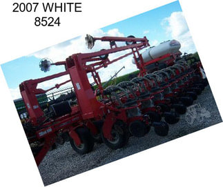 2007 WHITE 8524