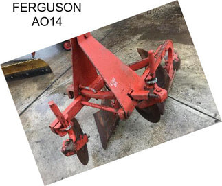 FERGUSON AO14