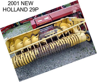 2001 NEW HOLLAND 29P