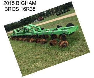 2015 BIGHAM BROS 16R38