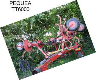 PEQUEA TT6000