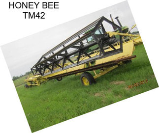 HONEY BEE TM42