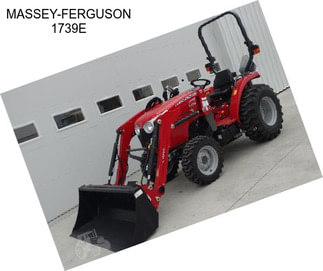 MASSEY-FERGUSON 1739E