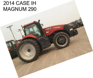 2014 CASE IH MAGNUM 290