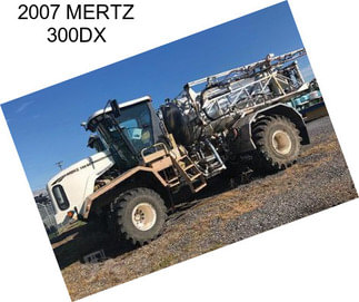 2007 MERTZ 300DX